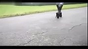 雷人！膜拜这个女人的高跟鞋
