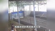 男童在牛棚里调皮戏牛，突然被牛顶撞倒地不起，家长抱起瞬间崩溃