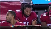 NFL-1415赛季-季前赛第3周 辛辛那提猛虎19：13亚利桑那红雀-全场