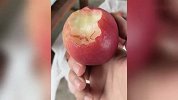桃子太多压断树枝却越长越红，女子直呼“桃坚强”，一口下去傻眼