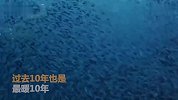 2019年是有记录以来海洋最暖一年