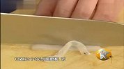 海归美女教你做海鲜乌冬面