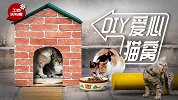 DIY爱心猫屋，让流浪猫也能温暖过冬