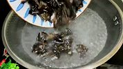饭店的凉拌木耳为什么好吃？诀窍竟然这么简单，爽脆开胃还解腻