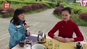 直播：今天，带你到世界面积最大的茶海，来一场云春游