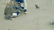 [明星潮流]完美情人 吴奇隆巴黎变形记卢浮宫前意外受伤