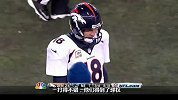 NFL-1314赛季-常规赛-第十二周-野马VS爱国者集锦-集锦