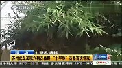 苏州虎丘发现六朝古墓群 “十字形”古墓首次惊现