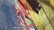 一餐馆落地窗深夜遭黑衣男子持铁锤砸碎，店方求黑衣人线索