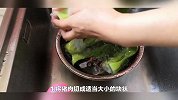 猪肉价格正便宜，教你在家制作腌肉，简单快速，3天就能吃