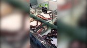 这也能吃？罗伯特-萧逛超市看到“蛇”和牛蛙表示很震惊