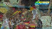 世界杯-14年-小组赛-G组-第2轮-德国队角球良机 克洛泽后点包抄破门-花絮