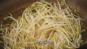 教你凉拌爽口绿豆芽，食材便宜，口感清脆，经典家常凉拌菜