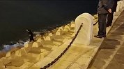 儿子在跨海大桥跳海失踪 7天后母亲在同一位置坠海身亡