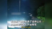 女司机乡道狂闪远光，还嚣张辱骂男子，男子两度倒车封堵霸气反击