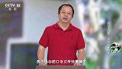 周鸿祎：1990年就黑了学校电脑，我可能是中国第一个黑客！