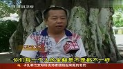 深圳老师“卖”学位骗款百万 事情败露跳楼身亡