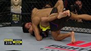 UFC-17年-UFC ON FOX 23副赛：蝇量级潘托加vs谢尔顿-全场