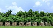 北京师范大学珠海分校一女生坠亡 警方已介入调查