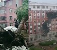 黑龙江鸡西市遭大风袭击 已造成2人死亡