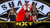 WWE NXT第491期