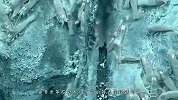 这种虾生活在450度的火山口，打捞时需专用工具，网友：怎么煮熟