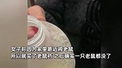 女子称买药毒老鼠，外出后油壶里疑现老鼠药：我被老鼠报复了？