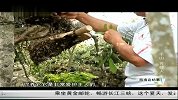 海南岛纪事-20130908
