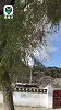 西藏三山头起火 现场浓浓白烟  300余名消防员紧急扑救