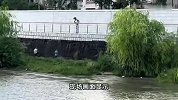 大人和仨娃在钱塘江下江堤被潮水冲走，抓住枯树枝求生！官方回应