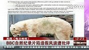 （热点）BBC自然纪录片陷造假风波遭批评