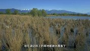 博登湖——水之原野