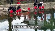 钓鱼佬钓到有“编制”的鱼，背鳍写着“浙海研C50”，官方：后续会带奖励上门领鱼