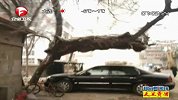 搞笑-20120312-一棵歪脖树的最好用处