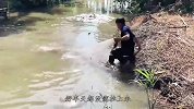 男子发现河里有动静，一网子下去，抓住好几个大家伙