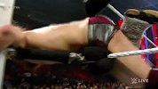 WWE-15年-RAW第1138期：洲际冠军赛 蛋妞VS齐格勒-花絮