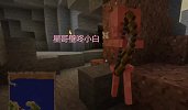 我的世界7：星哥寻觅村民的踪迹，开启矿洞大救援