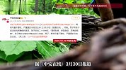 孩子吃野菜过敏中毒被送进ICU，父亲回应