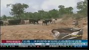 云南：水利部专家组抵达曲靖取样调查