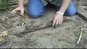 旅游-150326-最重要的生存技能：没有刀，没有绳子如何钻木取火