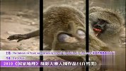 好摄之徒-20110812-国家地理摄影大赛入围作品