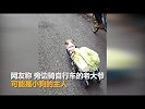小狗拉一车白菜马路狂奔 我为这个家付出太多啦_超清