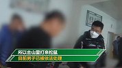 男子偷猎22只松鼠扒皮藏冰箱：听说肉很好吃 皮可做钥匙链