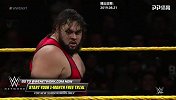 NXT第522期：布朗森·里德VS谢恩·索恩