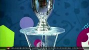 欧洲杯-16年-不向恐怖主义低头 欧锦赛将如期举行-新闻