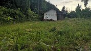 男子砸挖掘机被批捕看守所病亡 哥哥继承遗产遭挖掘机老板索赔
