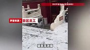 潭柘寺矫健黑猫雪中偷袭鸽子，一个“滑铲”将其扑住后叼走
