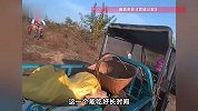 湖北3女子“组团”偷南瓜，开三轮车盗采910斤后被抓现行