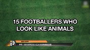 足球-17年-神奇！盘点世界足坛十五大与动物撞脸球星  笨马像海龟 梅西?这是什么鬼？！-专题