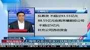 上海电力非公开发行获股东会通过